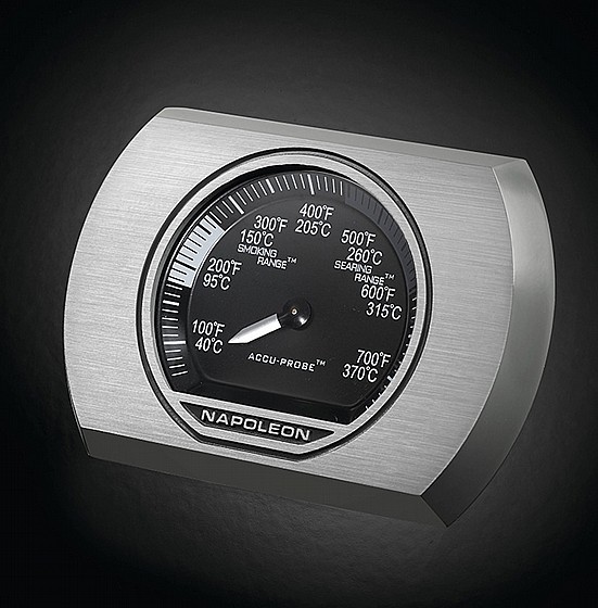 ���� �� ROGUE SE 425 