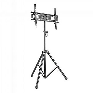 ���� ���� ������ CT-STAND FS600